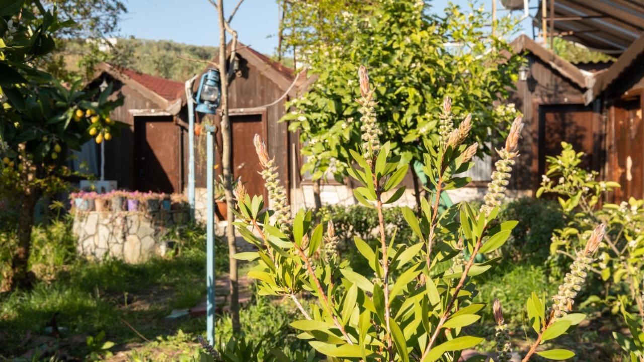 Homestay Huzur Ve Cay Bahcesi *