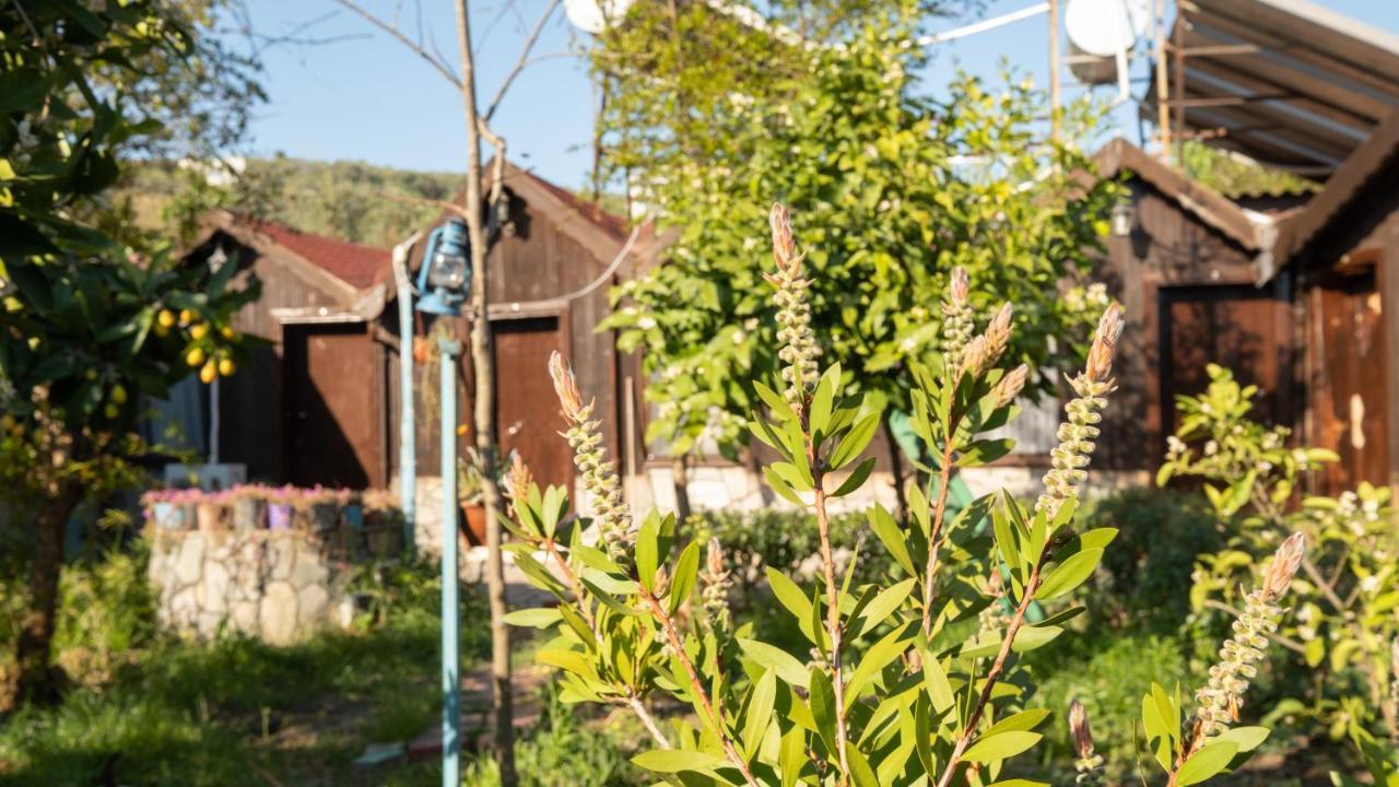 Homestay Huzur Ve Cay Bahcesi *