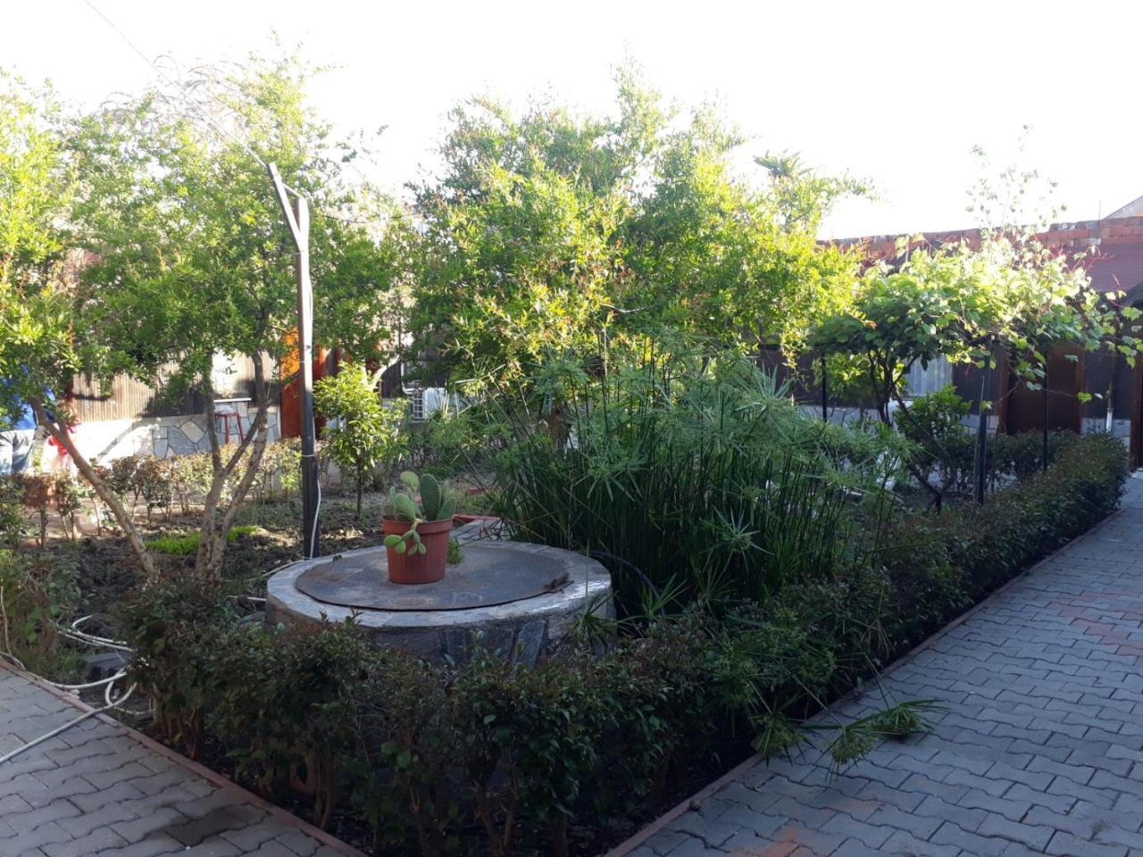 Homestay Huzur Ve Cay Bahcesi